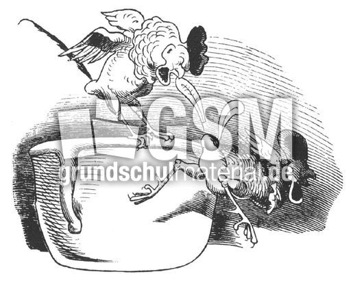 Hahnenkampf sw 09.jpg